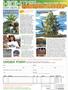Page: - 90 | High Times