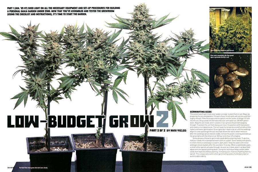 LOW-BUDGET GROW 2