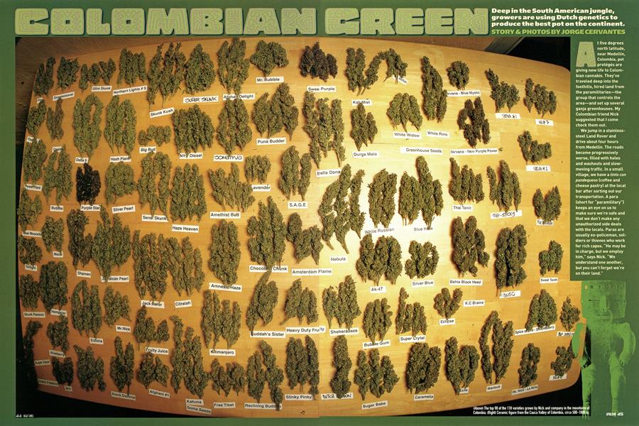 COLOMBIAN GREEN