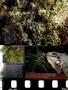 Page: - 13 | High Times