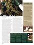 Page: - 16 | High Times