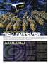 Page: - 28 | High Times