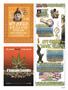 Page: - 29 | High Times