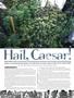 Page: - 44 | High Times