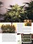 Page: - 55 | High Times