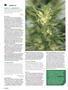 Page: - 66 | High Times
