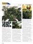 Page: - 74 | High Times