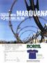 Page: - 86 | High Times