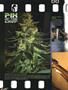Page: - 12 | High Times