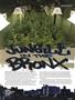 Page: - 55 | High Times