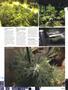 Page: - 57 | High Times