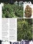 Page: - 58 | High Times