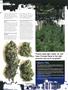 Page: - 60 | High Times