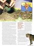 Page: - 23 | High Times