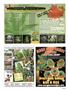 Page: - 31 | High Times