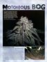 Page: - 40 | High Times