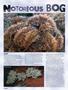 Page: - 44 | High Times