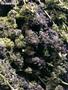 Page: - 54 | High Times
