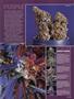 Page: - 55 | High Times