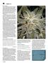 Page: - 74 | High Times