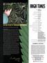 Page: - 8 | High Times