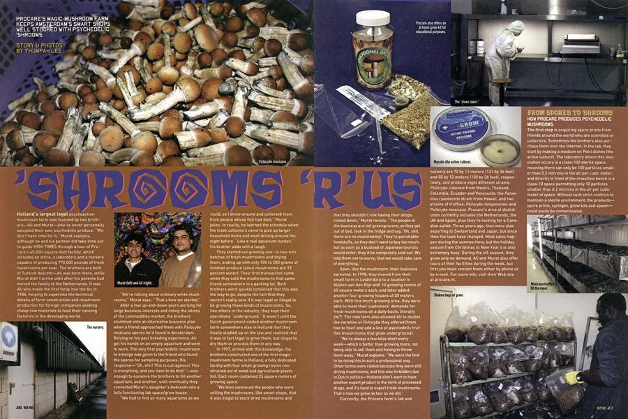 'SHROOMS 'R' US