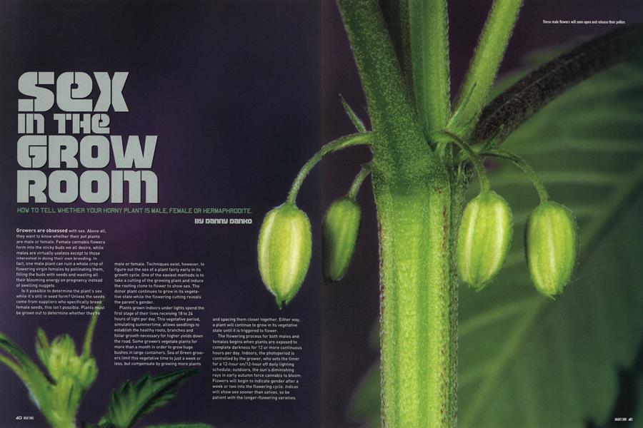 SEX IN THE GROW ROOM