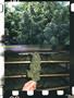 Page: - 13 | High Times