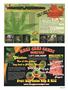 Page: - 29 | High Times
