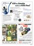 Page: - 31 | High Times
