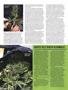 Page: - 50 | High Times
