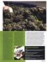 Page: - 55 | High Times