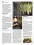 Page: - 72 | High Times