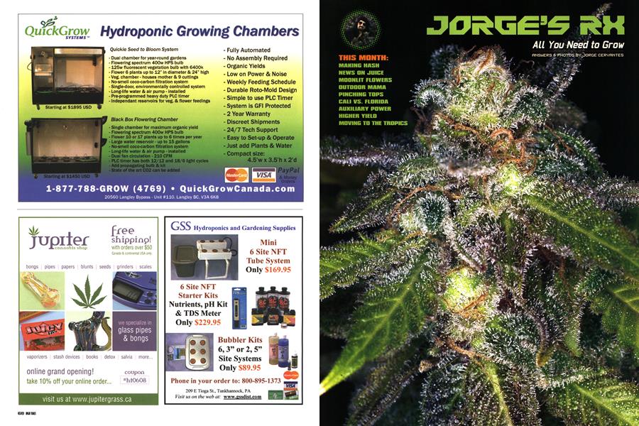JORGE'S RX