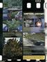 Page: - 14 | High Times