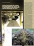 Page: - 49 | High Times