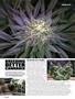 Page: - 56 | High Times