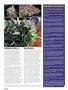 Page: - 60 | High Times