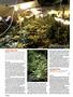 Page: - 70 | High Times