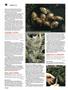 Page: - 72 | High Times