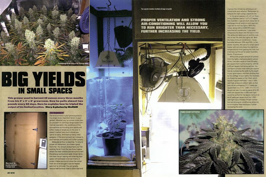 BIG YIELDS IN SMALL SPACES