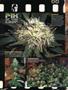 Page: - 12 | High Times