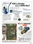 Page: - 31 | High Times