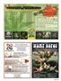 Page: - 35 | High Times
