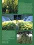 Page: - 47 | High Times