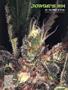 Page: - 69 | High Times