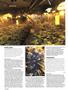 Page: - 70 | High Times