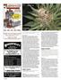 Page: - 74 | High Times