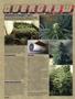 Page: - 80 | High Times