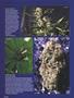 Page: - 48 | High Times